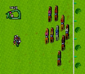 Turf Memories (Japan) screen shot game playing